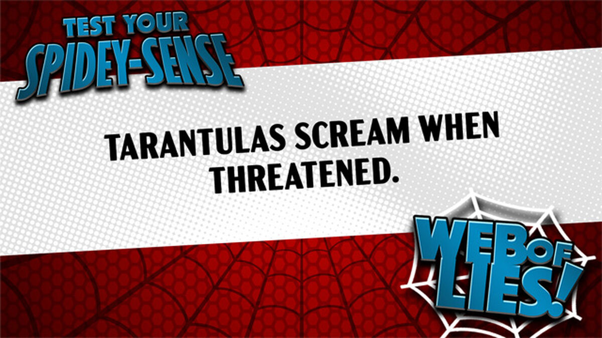 Test Your Spidey-Sense image number null